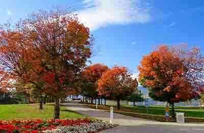 環(huán)境燈光設(shè)計(jì)