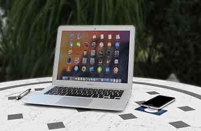 探究蝗蟲(chóng)基因的克隆與表達(dá)