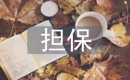 企業(yè)融資擔(dān)保風(fēng)險(xiǎn)管理規(guī)定