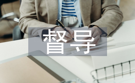 整頓督導(dǎo)工作計劃