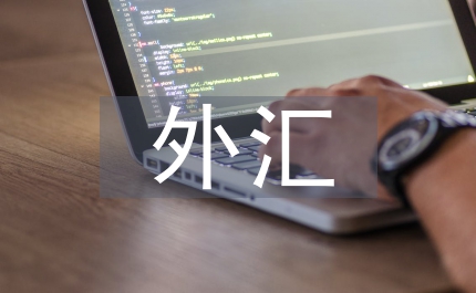 外匯實(shí)訓(xùn)總結(jié)