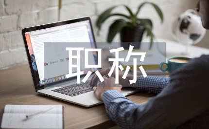 工程師職稱考核材料范文