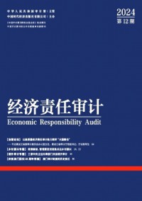 經(jīng)濟責任審計